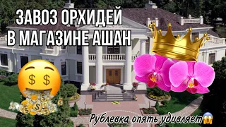 Вот это поставка орхидей 😵 || Лучшая в этом году || ⚡️Ашан на Рублевке опять удивил ⚡️