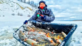 Вот это рокировка! Рыба с сюрпризом, потеряшка нашлась, такое бывает только здесь! Чудо рыбалка!