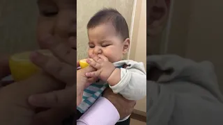 Baby eating lemon (малыш ест лимон)