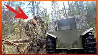 SHERP Forest Obstacle Course On Another Level