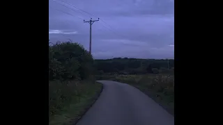 summer walk in the evening