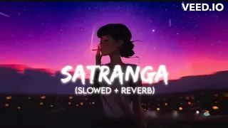 Satranga (Slowed + Reverb) | Arijit Singh | Animal | DK Lofi|| #lofi