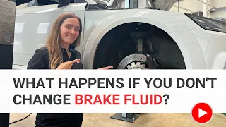 What happens if you don’t change brake fluid? (& what brake fluid actually does!) with @DrivingBex