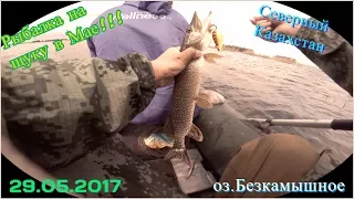 Ловля щуки  весной!!! Малое озеро. 2017 Pike fishing in spring!!!