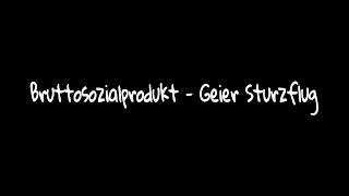 Bruttosozialprodukt - Geier Sturzflug     ~ Lyric