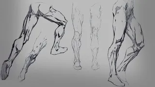 How to Draw Legs