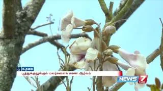 News in Short at En Tamil Nadu express | 07.01.2016 | News7 Tamil