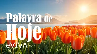 PALAVRA DO DIA 29 DE MAIO DE 2024 | DEVOCIONAL DIÁRIO | MOTIVACIONAL E REFLEXÃO DE VIDA eVIVA