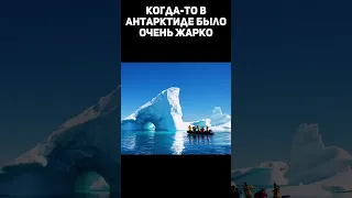 Почему в антарктиде холодно?