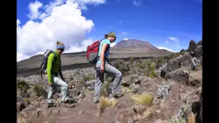Mt. Kilimanjaro Climbing. Marangu Route, Marangu, Tanzania
