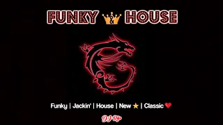 Funky & House Mix 2023  🔥 Crazibiza | David Penn | Lissat | Luca Debonaire | Cassim 🔥  ⭐DJ RIP⭐