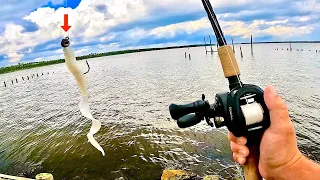 Wade Fishing Saltwater Bays with Jigs!