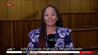 Kelly Khumalo fingered in Meyiwa murder: Chriselda Lewis