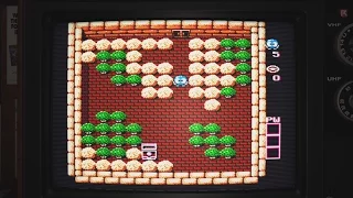 Adventures of Lolo (NES, 1989) - Video Game Years History