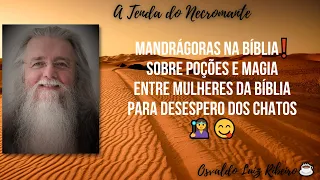 171. Mandrágoras na Bíblia❗ Sobre poções e magia entre mulheres da Bíblia, para desespero dos chatos