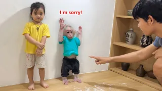 Monkey Lily's funny reaction when being scolded by dad