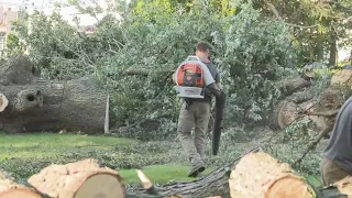 Mentor residents dealing with power outages, storm cleanup days after EF-1 tornado