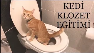 Kedi Tuvalet (Klozet) Eğitimi / Cat Toilet Training CitiKitty