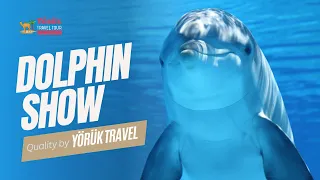 ANTALYA - Dolphin Show