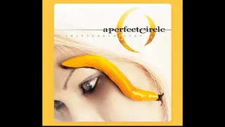 A PERFECT CIRCLE - The Noose