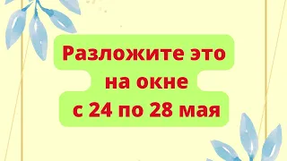 Разложите это на окне с 24 по 28 мая.