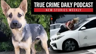 Woman clings to hood of speeding car to save stolen dog: Man sentenced for rescue dog’s brutal death