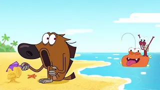 New friends | NEW The Adventures of Bernie | Zig & Sharko - Cartoons for Kids