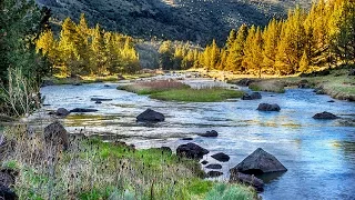 Crooked River Fly Fishing Prineville
