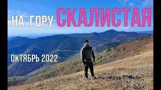 На гору Скалистая (Читинза) (Приморский край, Партизанский район) октябрь 2022