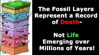 The Fossil Record - Millions of Years of Evolution or Noah's Flood?