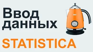 Ввод данных STATISTICA #01 | СТАТИСТИКА STATISTICA