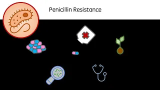 Penicillin Resistance