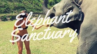 INCREDIBLE Elephant Sanctuary Experience - Chiang Mai, Thailand 2016