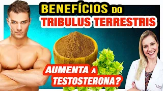 Tribulus Terrestris Aumenta a Testosterona? Benefícios, Como Funciona e Cuidados [Faz Mal?]