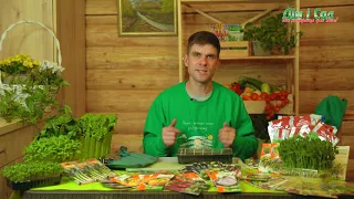Які овочі сіють на розсаду у січні?