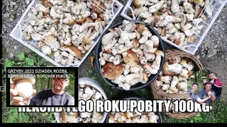 GRZYBY 2022  BOROWIKI 16. 09. 2022.  100.KG  REKORD!!! POBITY!!!#GRZYBY2022#BOROWIKI#Mushrooms