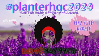 🌱 May 25TH #planterhgc2024  UPDATE 🌱