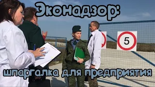 Эконадзор - шпаргалка для предприятия и пути обжалования