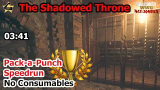 The Shadowed Throne PAP Speedrun Solo World Record 3:41 (No Consumables)