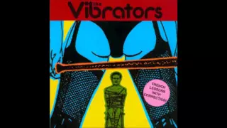 The Vibrators French lessons with correction!