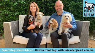 How to keep your dog's skin and coat healthy - Expert Dog Health Advice - | S5 Ep5 | Pooches at Play