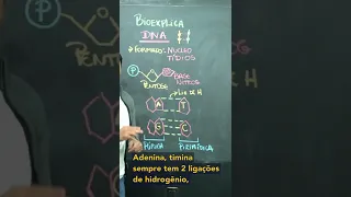 Bases nitrogenadas - DNA