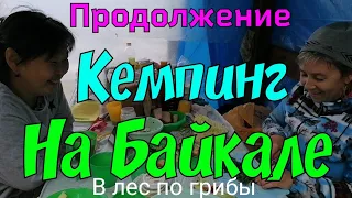 Кемпинг на Байкале / В Лес по ГРИБЫ #деревенскийтренд