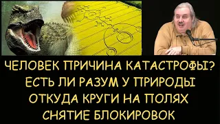 ✅ Н.Левашов: Откуда круги на полях. Разумна ли природа. Человек причина катастроф? Снятие блокировок