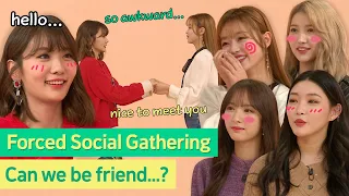 Chungha&Sowon&Yooa&Bona&Jiyoung had Forced Social Gathering😬