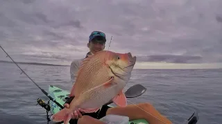 I never expected to catch this fish - kayak fishing 5.7 km offshore