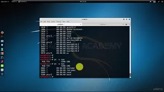 008 Разбираемся с процессами Kali Linux | Кали Линукс