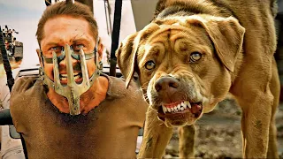 كلب قوي كون عصابة من الكلاب الشرسة🐶وانتقـم من البشر بطريقة غريبة🔥