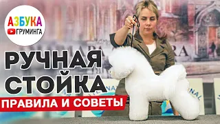 Ручная стойка для собак. Особенности, советы грумерам