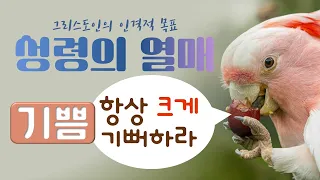 성령의 열매 [기쁨] 항상 크게 기뻐하라_Joshua Yun(윤경원)_갈보리침례교회_[표준킹제임스성경]